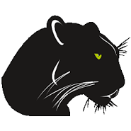 Black Panther Runner