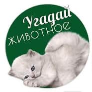 Угадай животное по фото