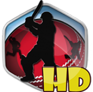 Box Cricket 2014 HD