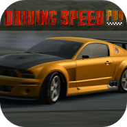Driving Speed Pro