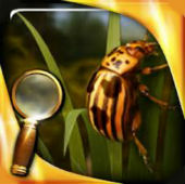 Treasure Island : The Golden Bug - Extended Edition